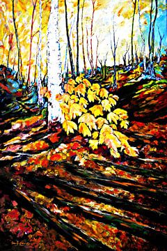 Autumn colors van Eberhard Schmidt-Dranske