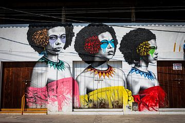 Graffiti Colombia van Sylvia Fransen