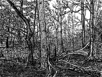Une forêt de lignes d'encre (Veluwezoom) sur Dolm