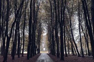 Rijswijkse bos met de Naald
