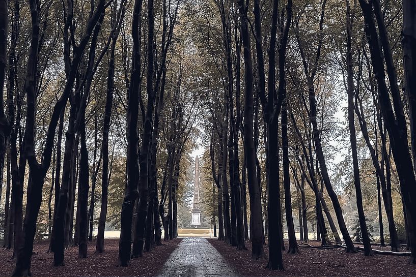 Rijswijkse bos met de Naald van Robert Jan Smit