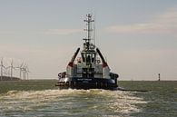 A tug underway on the Caland Canal by scheepskijkerhavenfotografie thumbnail