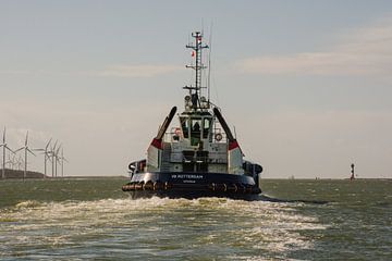 Een sleepboot onderweg op het Calandkanaal van scheepskijkerhavenfotografie