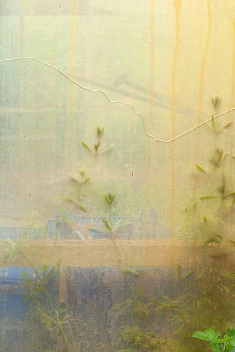 Urbex window 3 of 3 - yellow