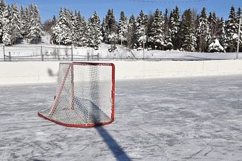 De dorpsijsbaan op een winterdag
