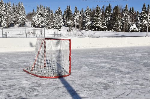 De dorpsijsbaan op een winterdag