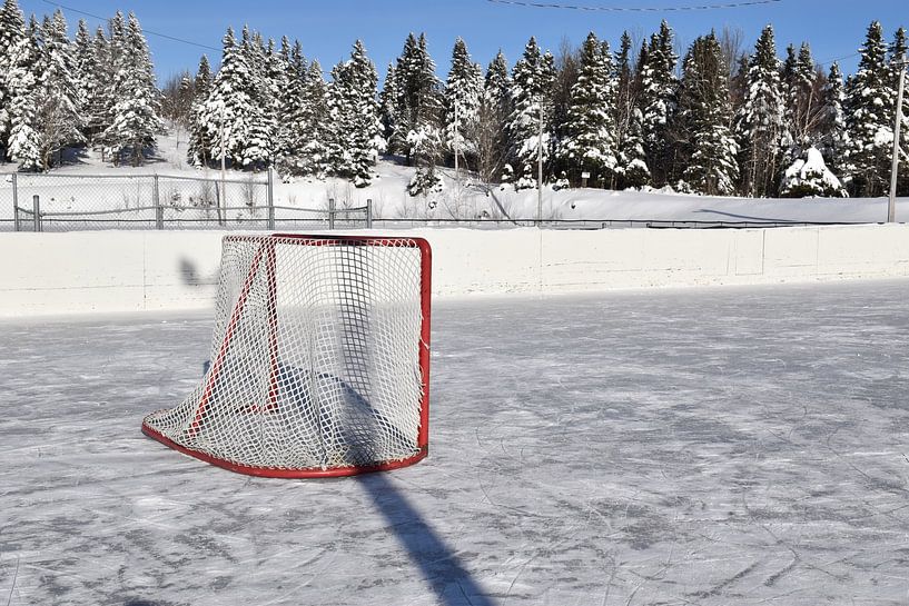 The village ice rink on a winter day by Claude Laprise