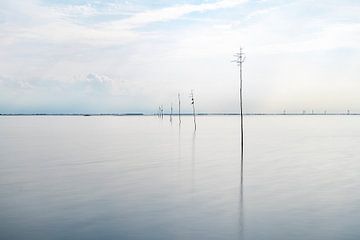 Uitzicht op de Oosterschelde