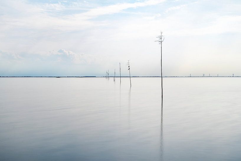 View of the Eastern Scheldt by Patty Elferink