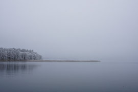 See im Nebel