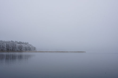 See im Nebel