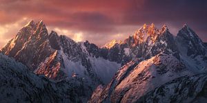 Lofoten Dreams von Daniel Laan