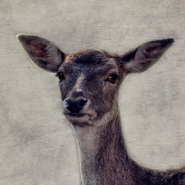 Bambi van Claudia Moeckel