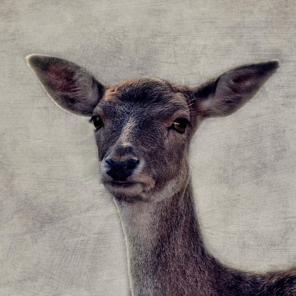 Bambi par Claudia Moeckel