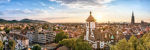 Freiburg Skyline