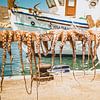 Poulpe et calmar frais dans un port grec sur Daphne Groeneveld