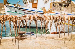 Verse octopus en inktvis in een Griekse haven van Daphne Groeneveld
