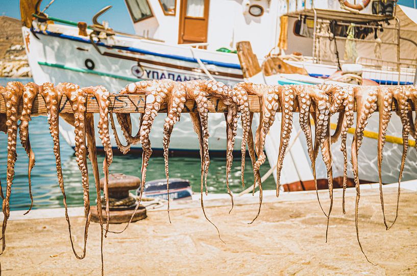 Frischer Oktopus und Tintenfisch in einem griechischen Hafen von Daphne Groeneveld