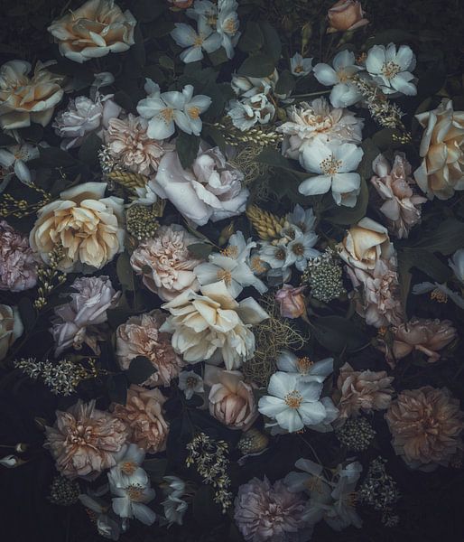 Temperance by Marina de Wit