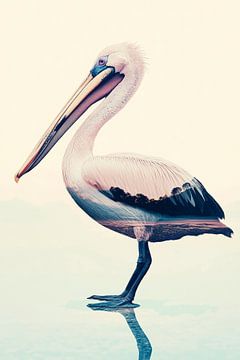 Pelikaan in het water van Poster Art Shop
