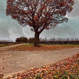 autumnal by Norman Krauß
