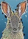 Kaninchen Bunny Kunst #Kaninchen #Häschen #Tiere von JBJart Justyna Jaszke Miniaturansicht