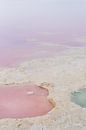 Roze zoutmeer van Torrevieja von Anki Wijnen Miniaturansicht