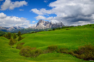 Seiser Alm oder Seiseralm in den Dolomiten im Frühling