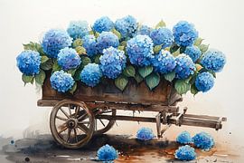 Blue hydrangea by NJ Midnight Studio
