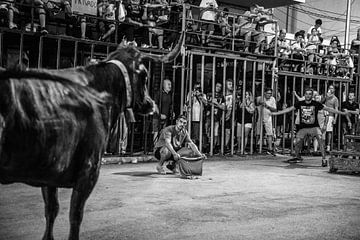 Stierengevecht van Arie-Jan Eelman
