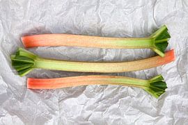 Rabarber van Karina Gebert