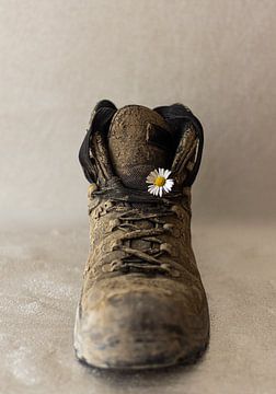 L'homme et la nature sur Jeanet Francke