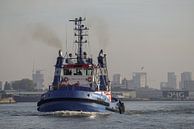 Tug Fairplay in the port of Rotterdam by scheepskijkerhavenfotografie thumbnail