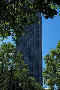Frankfurt im Grünen