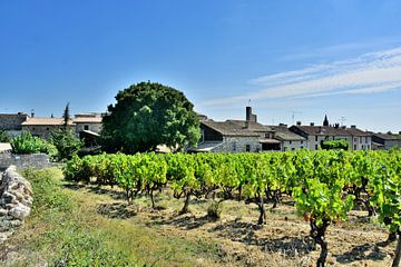 The Provençal charm of Aiguèze by Frank Photos