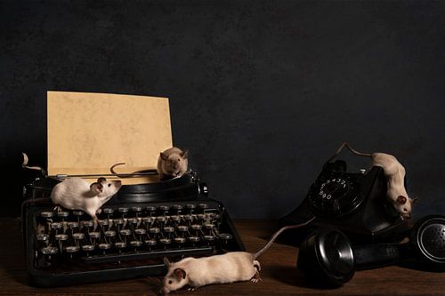 Stilleven van zes siamese muizen op een typmachine en telefoon