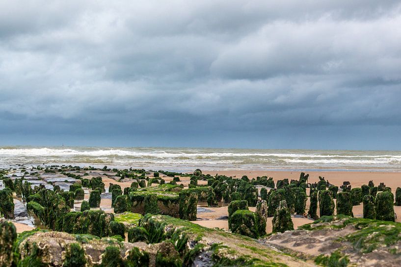 Golfbreker vanuit een laag standpunt van didier de borle