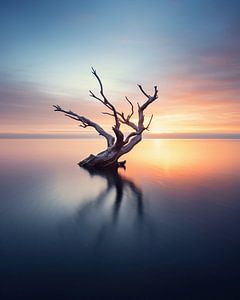 Holz am Meer