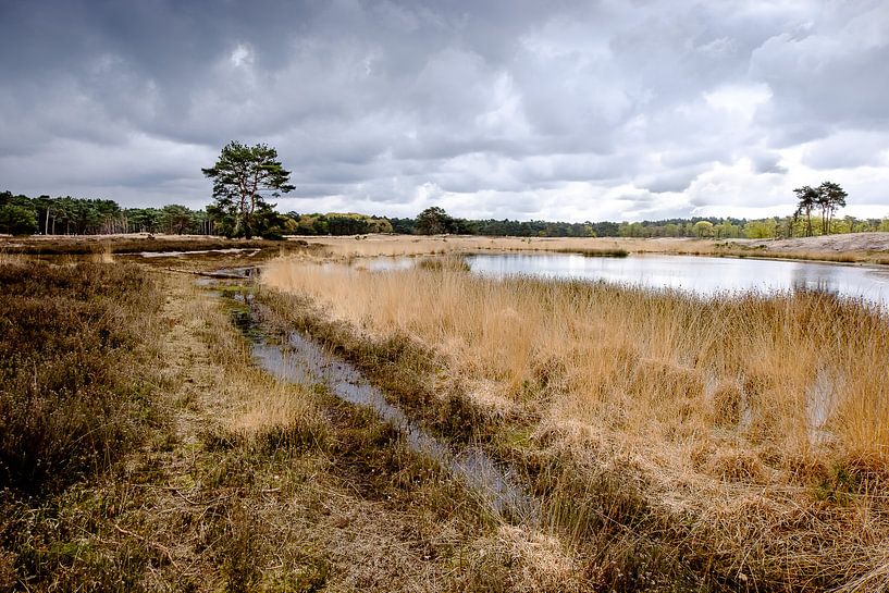 Dreigende luchten boven de Sonse Heide van H Verdurmen