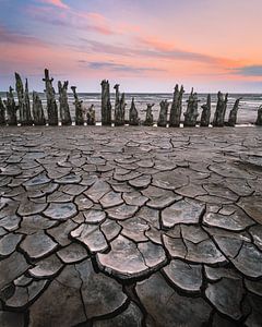Poteaux usés par le temps sur la mer des Wadden | Photographie de paysage avec des tons pastel sur Marijn Alons