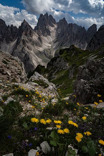 Blumen und Gipfel in den Dolomiten