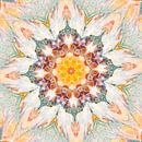 Mandala nice dreams by Christine Bässler thumbnail