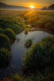A quiet meadow in the morning by Harald Bader Photography