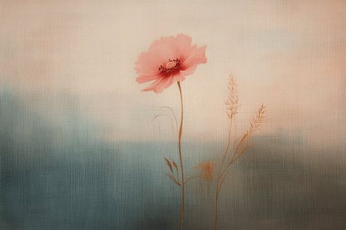 Klaproos in pastelkleuren