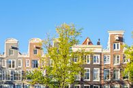 Amsterdam-traditionelle alte Gebäudefassaden an den Kanälen von Sjoerd van der Wal Fotografie Miniaturansicht