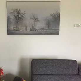 Klantfoto: Fries landschap van Teo Goudriaan, als art frame