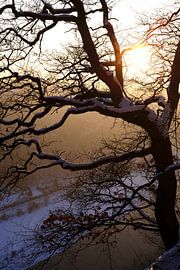 Elbsandsteingebirge von Thomas Jäger