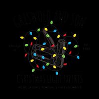 Griswold And Son Christmas Light Experts
