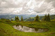 Wide view by Alena Holtz thumbnail