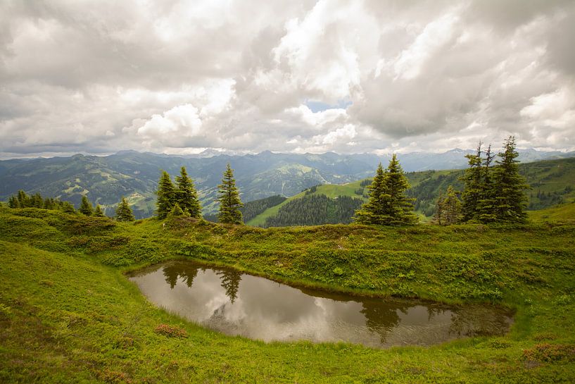 Wide view by Alena Holtz